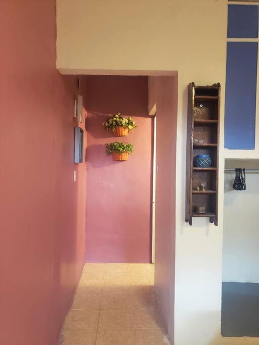 Om Studio Oaxaca المظهر الخارجي الصورة